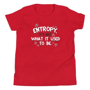 Entropy, It's Not What It Used To Be Kid's Youth Tee